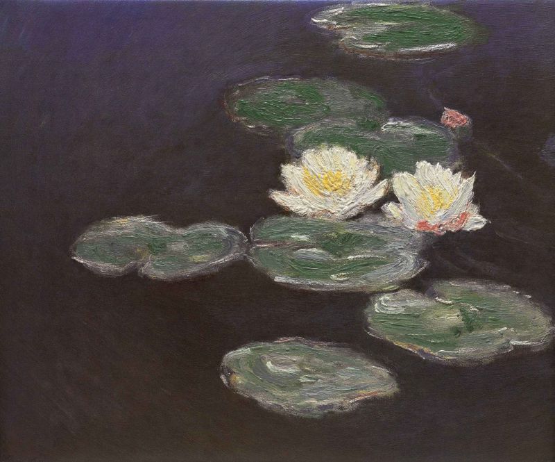 nympheas (waterlilies) (2900x2408).jpg